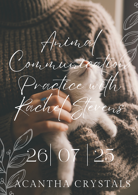Animal Communication Practice with Rachel Stevens (1).png