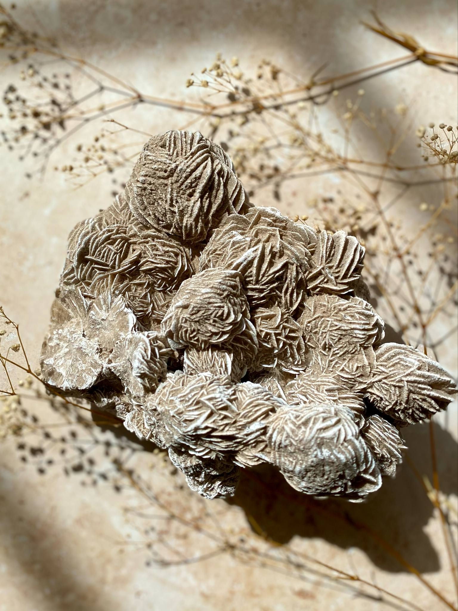 Statement Desert Rose Selenite from Mexico