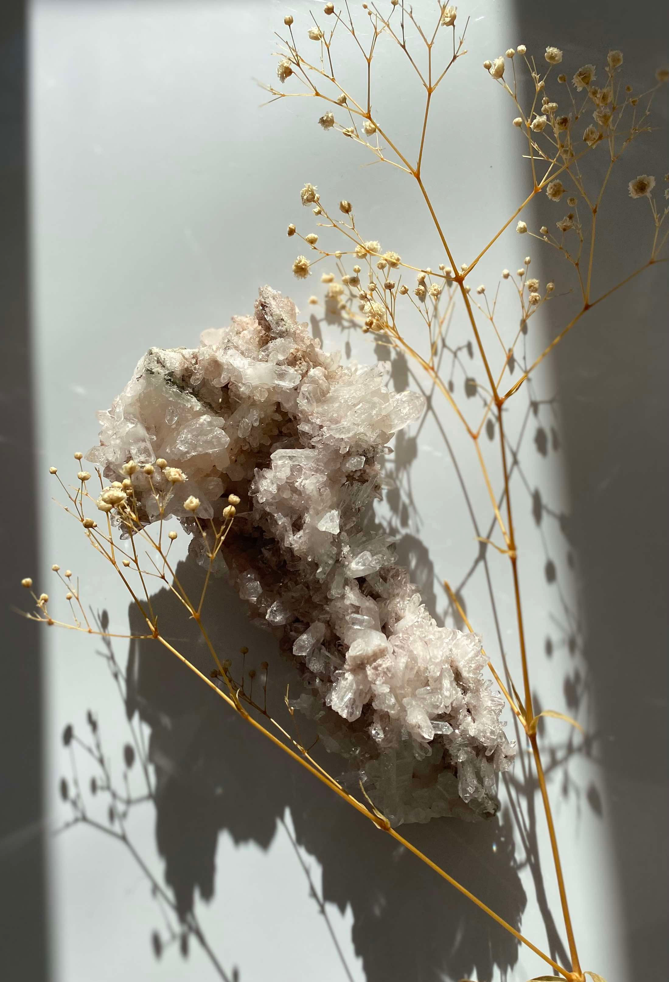 Pink Sacred Lemurian Statement Cluster