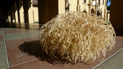 Space Invaders I (Palo Alto)