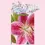 Thumbnail: Gift Bag, Tiger Lilies and Hummingbird