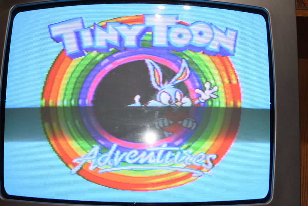 Thumbnail: Sega Mega Drive: Tiny Toon All Stars (BOOTLEG)