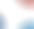 bg.png