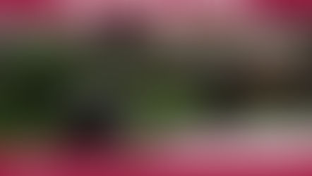 SDG 8: Tackling Global and Local Economic Development