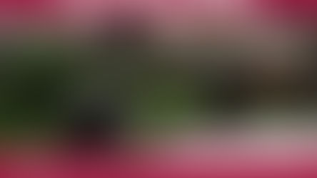 SDG 8: Tackling Global and Local Economic Development