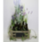 Bottles are Simple to Design 