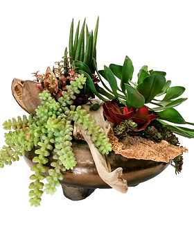 House of Design-Care for Faux Succulents