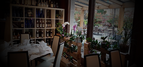 Geheimtipp_Thai_Orchidee 1.png