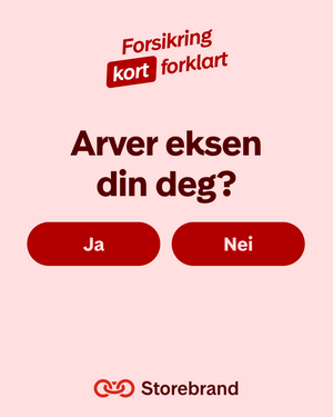 Storebrand - Kort forklart