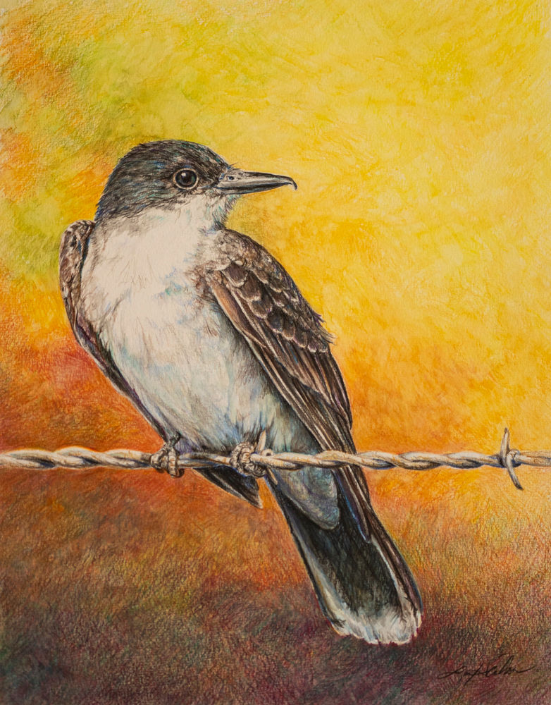 Bird on a Wire