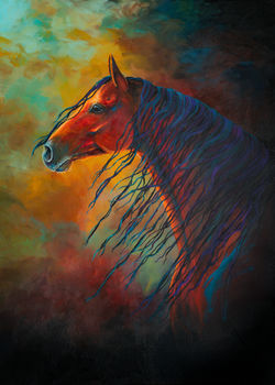 Wild & Free