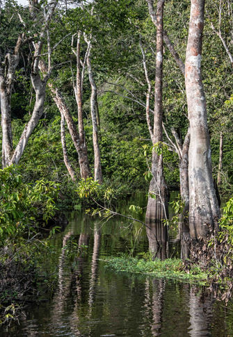 Loango National Park landscapes