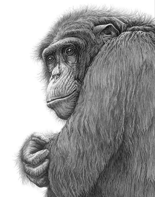 Legacy of Love-2.jpg