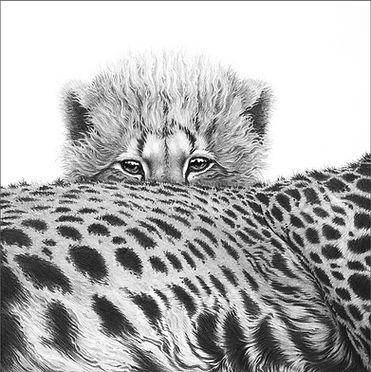Cheetah Cub Emb for Remembering Cheetahs