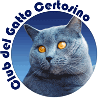 logo.gif