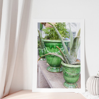 Green Collection I