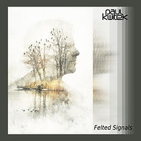 Felted Signals cover.jpg