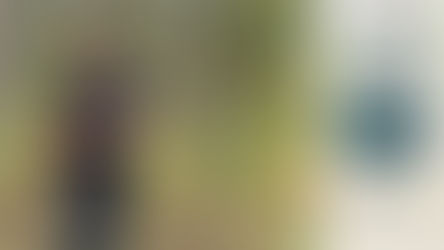 Exploring the World of Paul Kwitek and His Sound Hunt Series