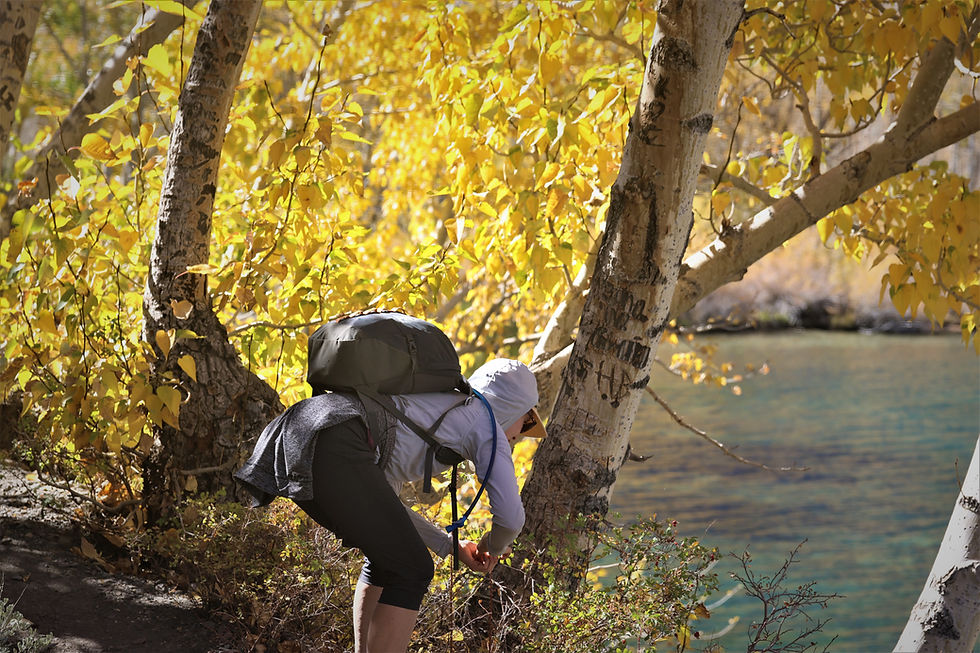 Fall Foraging Botanical Workshop