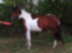 RenderedImage-2