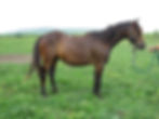 27573712_Unknown copy
