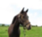 27571120_Unknown_edited