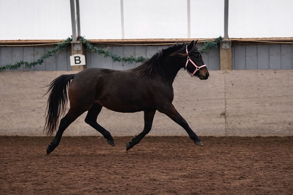 fc38cbd6-32bc-4a6a-9979-bd750301f559