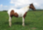 27569840_Unknown copy