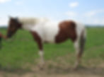 27569504_Unknown copy