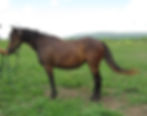 27573328_Unknown copy