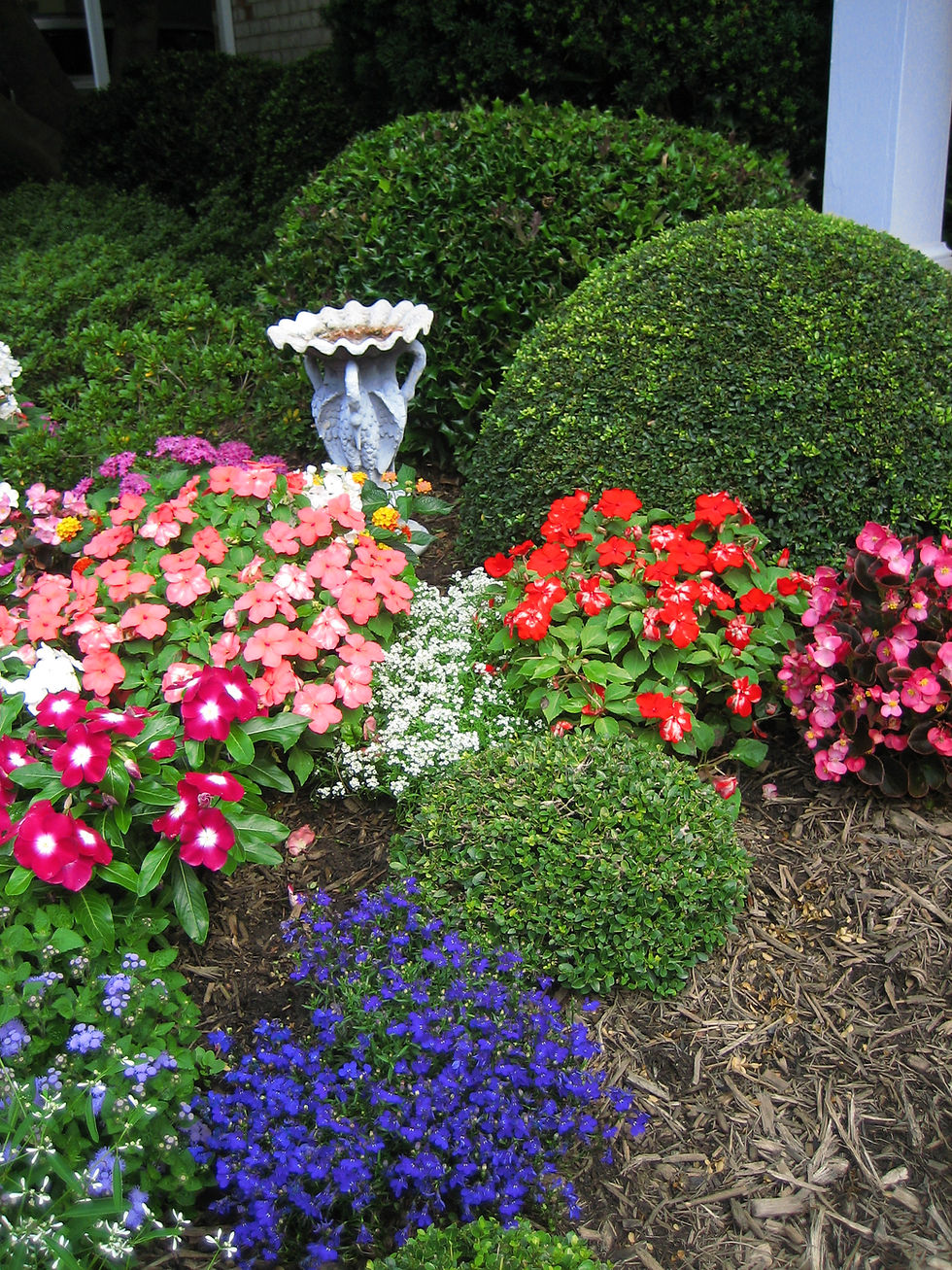 Affordable Landscaping