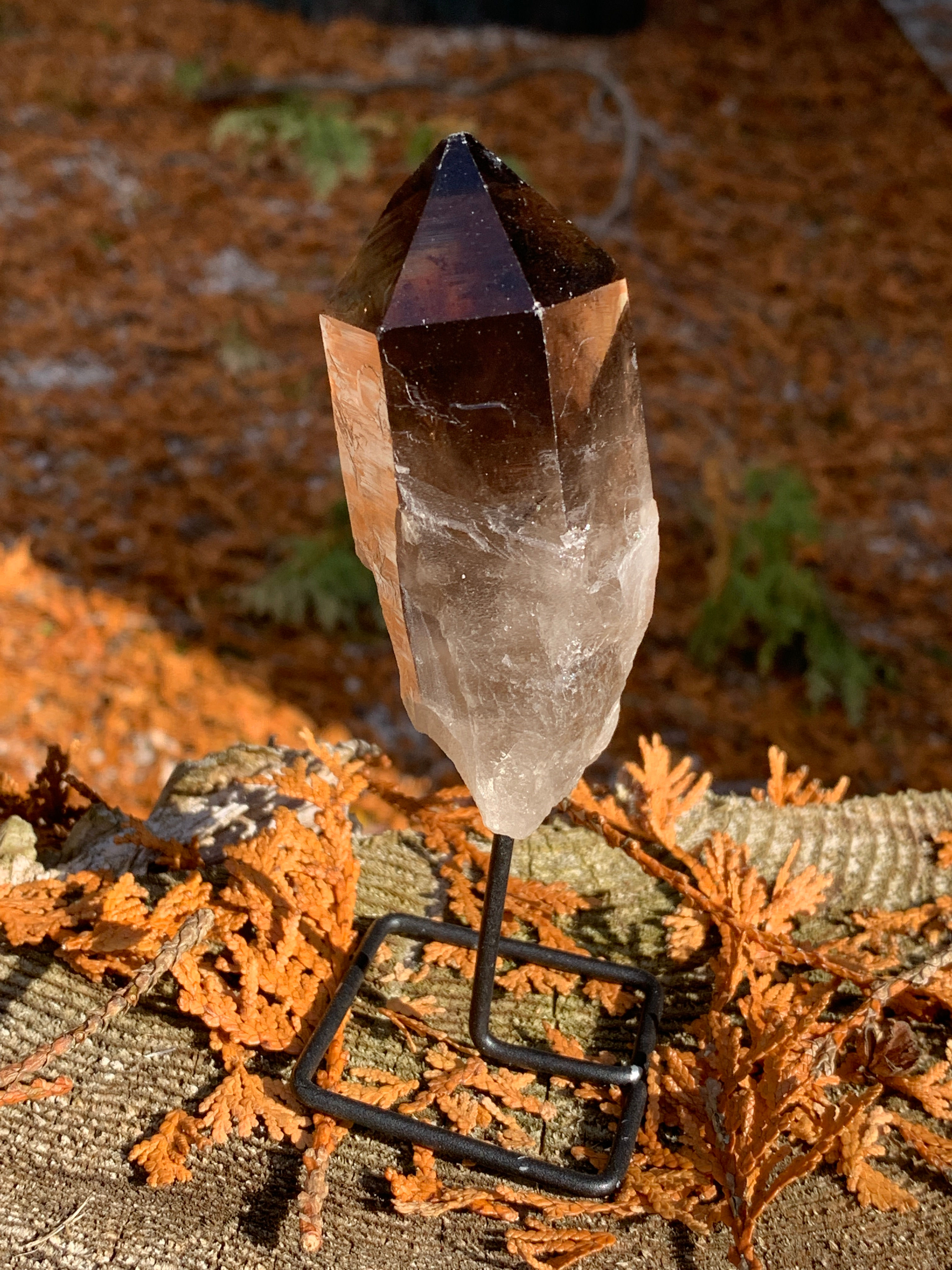 Show Stopping Smokey