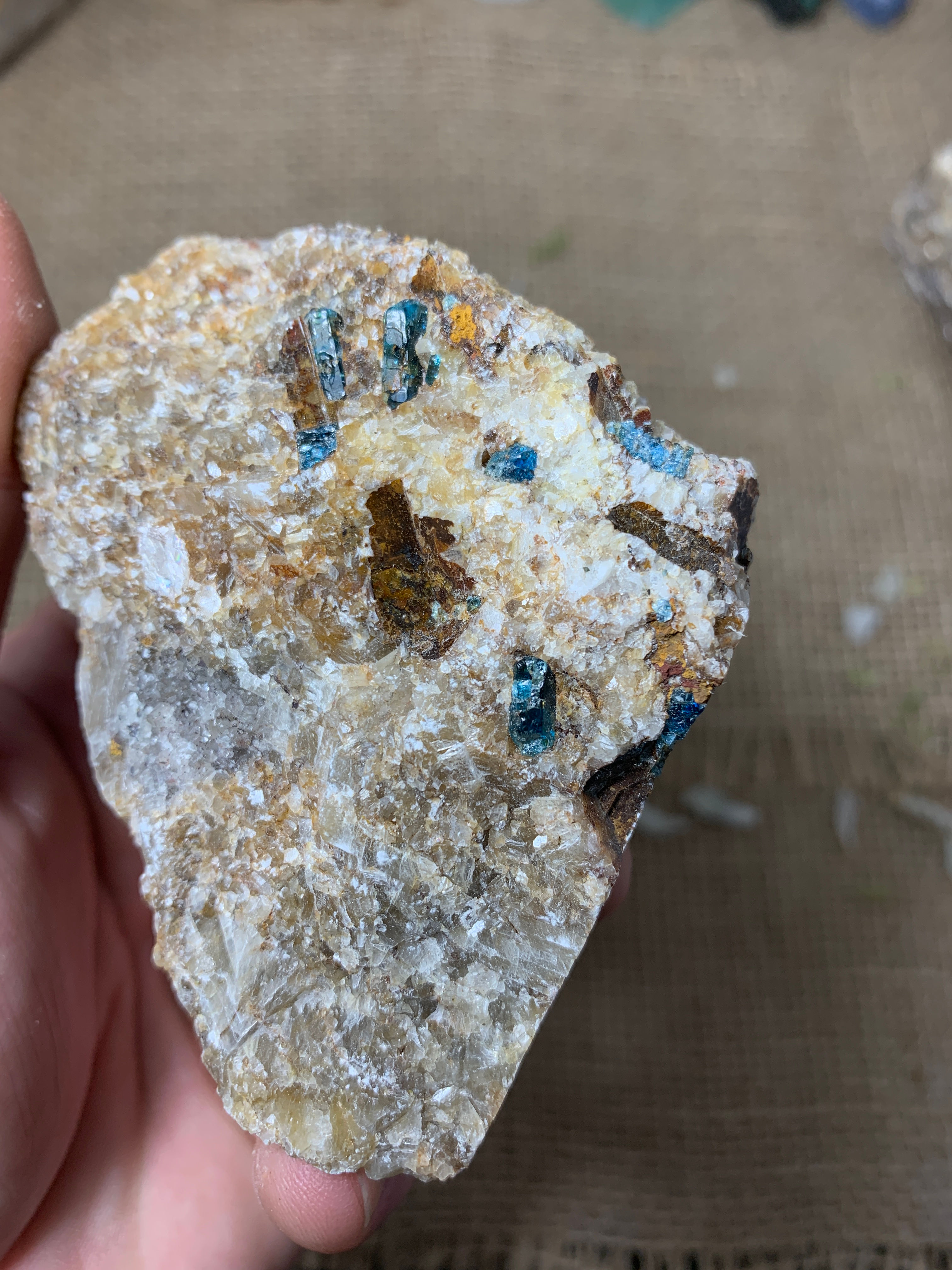 Blue Apatite in Matrix