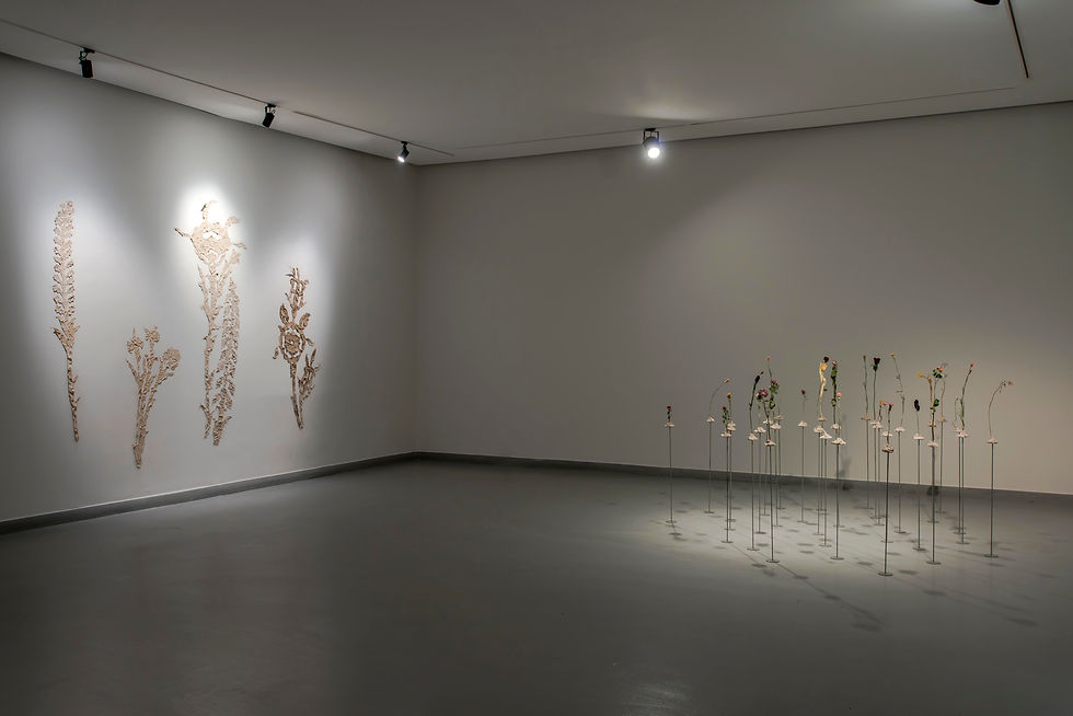 Installation view