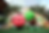 strip-background.png