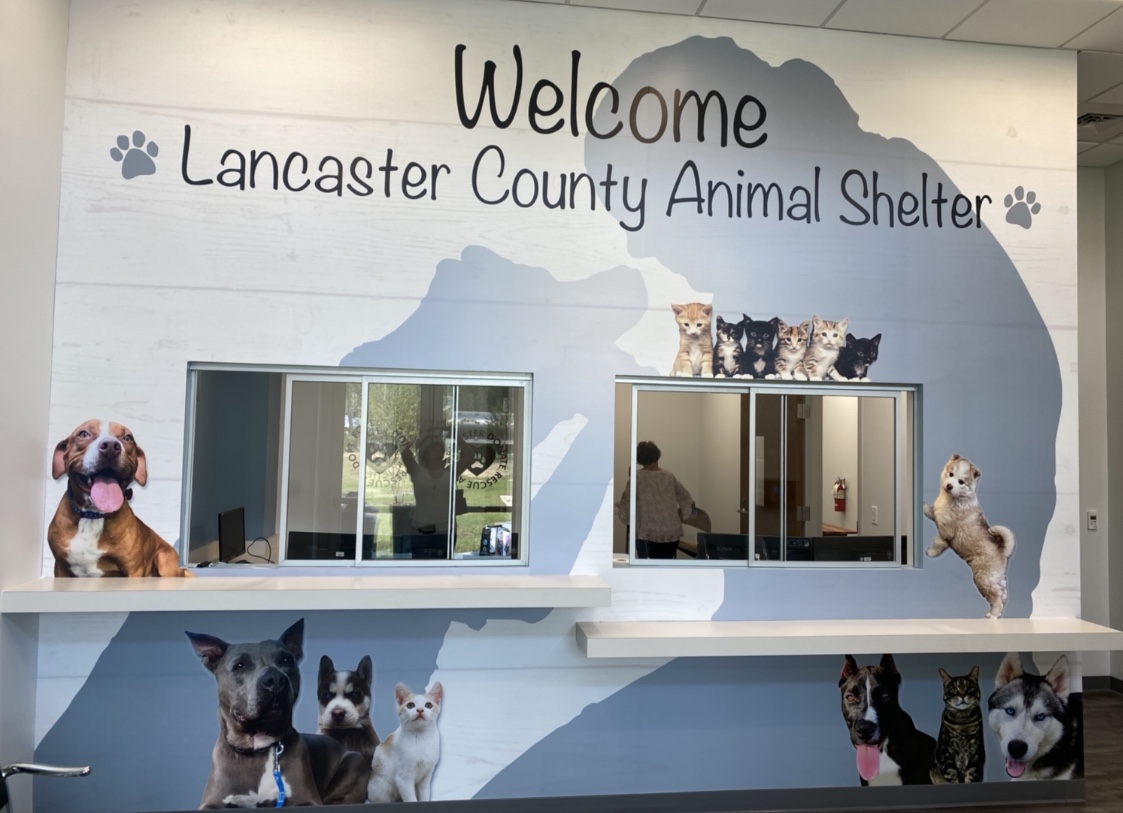 New Shelter Lobby Mural installed by Rapid Signs of Lancaster