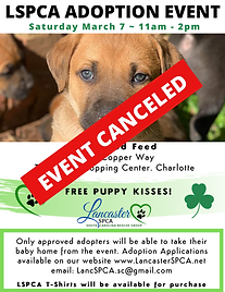 St Patricks Day Event Canceled.png