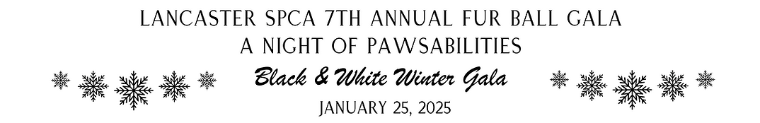 One Cause fur ball 2025 header.png