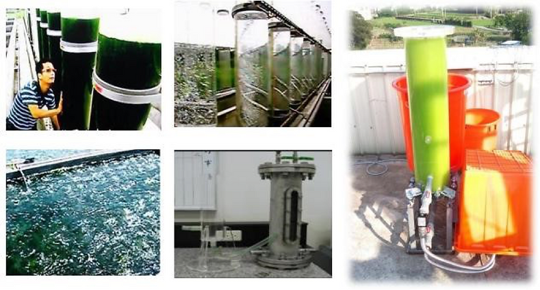 CO2 Micro Bubbles – Seaweed growth, ITRI Green Energy and Environmental Research Laboratories - The Whitewater Company