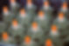 Cupping set2.jpg