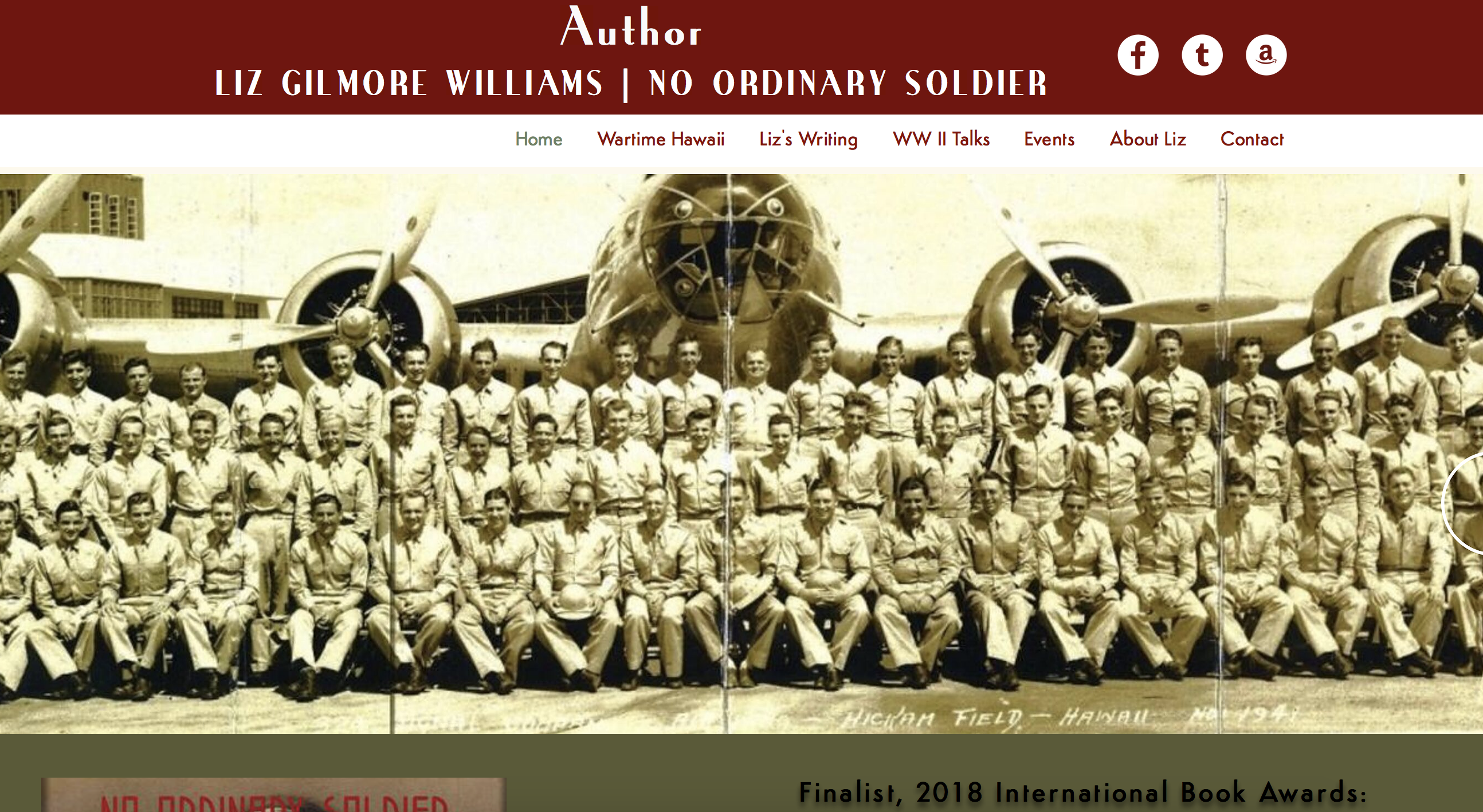 NoOrdinarySoldier.com