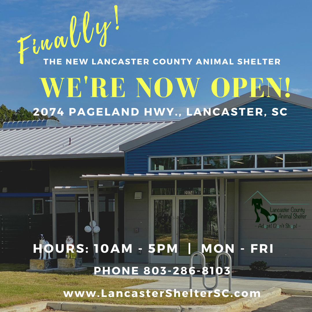 11/2020 The New Shelter in OPEN!