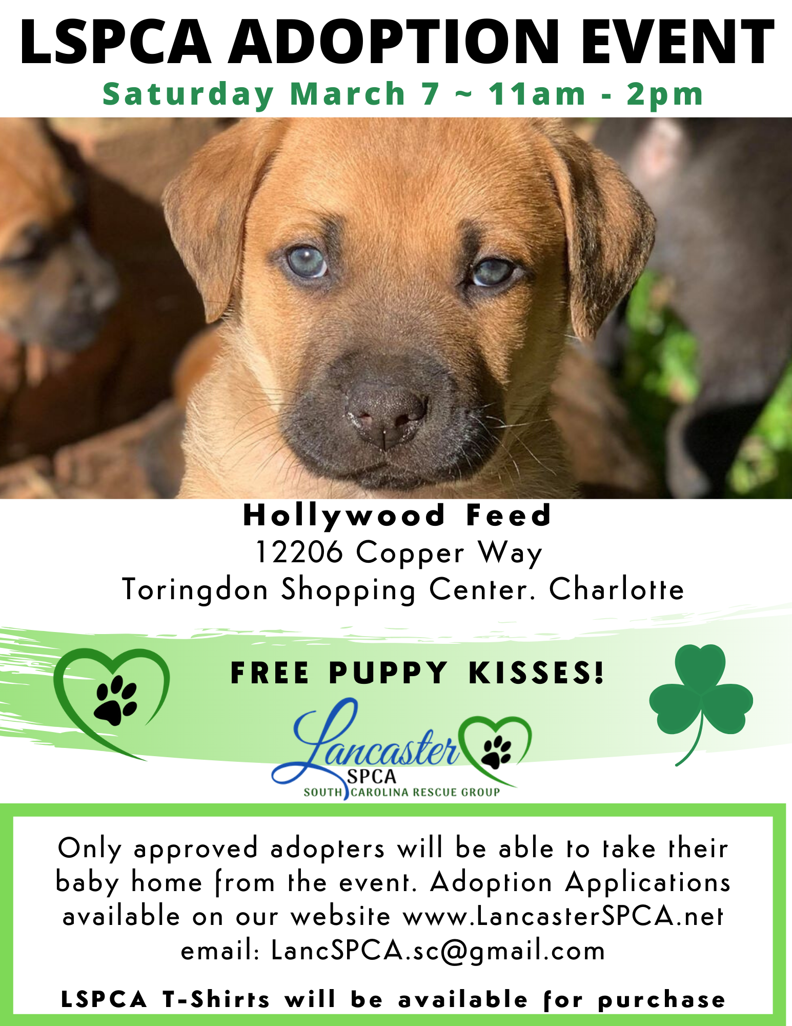 Available Dogs & Cats Lancaster SC Lancaster SPCA