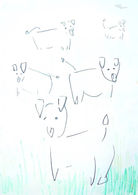 牛.terumigoto.jpeg