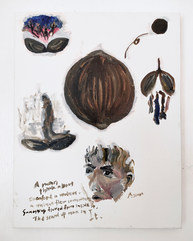 A man think about cracked a walnut, a walnut flew somewhere, something flowed from inside