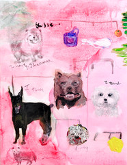 Dog Family Tree:後藤てるみ