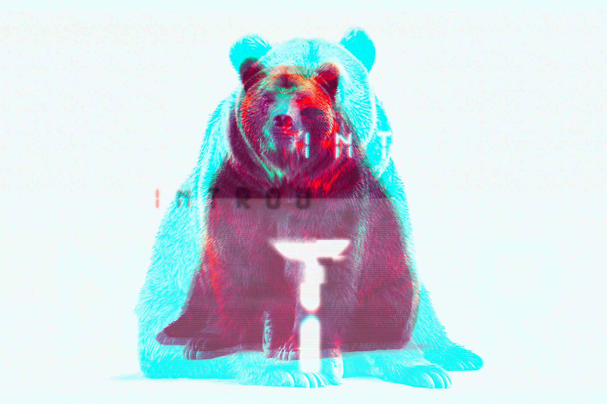 Bear Glitch