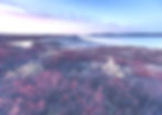 barrenlands_1_edited_edited.jpg
