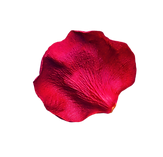 Untitled design (9).png