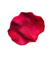 Untitled design (9).png